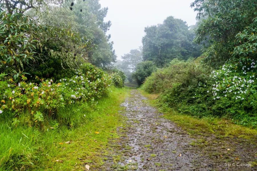 Volcan Baru National Park