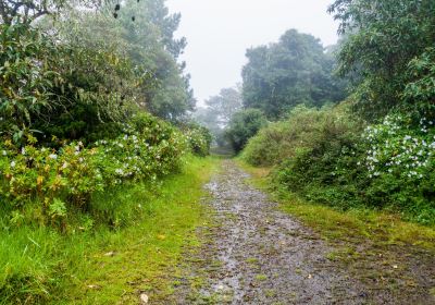 巴魯火山國家公園