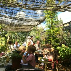 Petersham Nurseries Restaurant User Photo