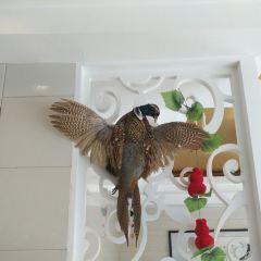 王毛驴豆腐坊 User Photo