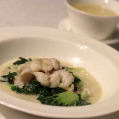 Jade Dragon User Photo