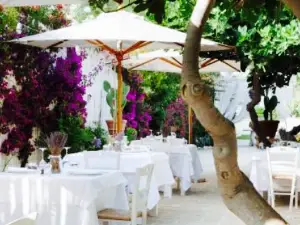 Autentico Wine & Restaurant