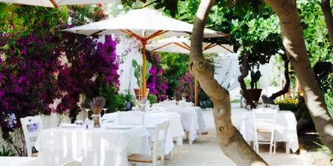 Autentico Wine & Restaurant