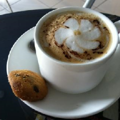 Shell Beans(Jazeera) User Photo