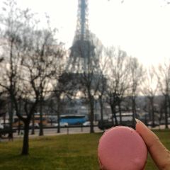 Laduree User Photo