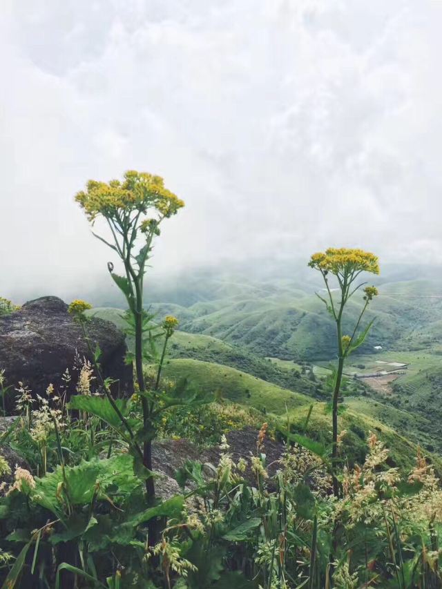 남산목장