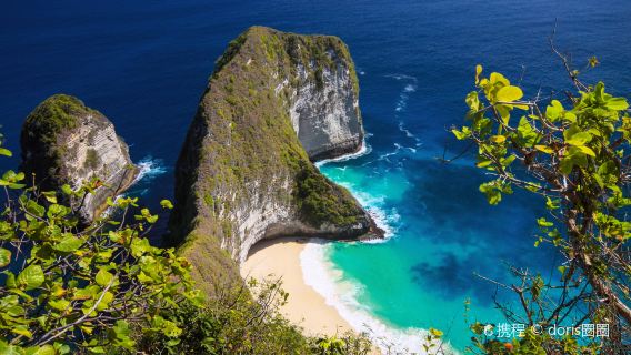 BaliTravel Services