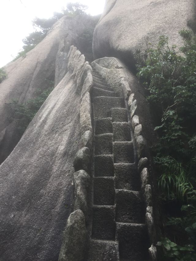 즉어배