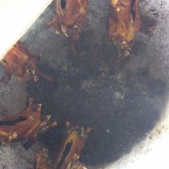 Meiguihua Barbecue User Photo