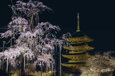 東寺