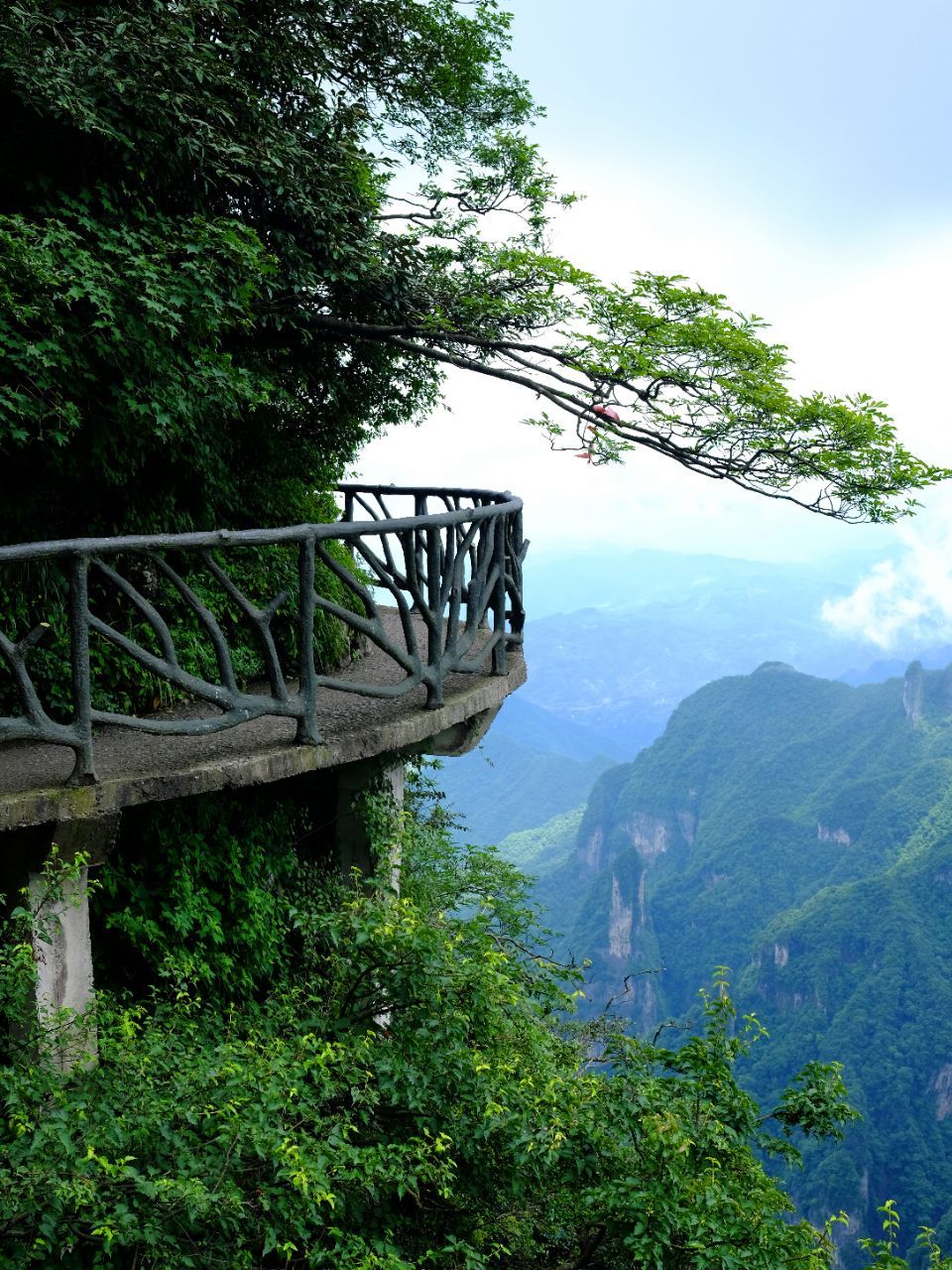 Ghost Valley Plank Road Travel Guidebook Must Visit Attractions In Zhangjiajie Ghost Valley Plank Road Nearby Recommendation Trip Com Ghost Valley Plank Road Travel Guidebook Must Visit Attractions In Zhangjiajie Ghost Valley Plank Road Nearby Recommendation Trip Com