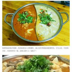 XINGLONG CHARACTERISTIC LEISURE FARM User Photo