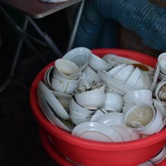 谢怀亮芝麻茶(体委综合楼文明小区店) User Photo