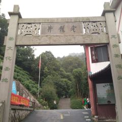 十八棵（老龙井）御茶园(老龙井店) User Photo