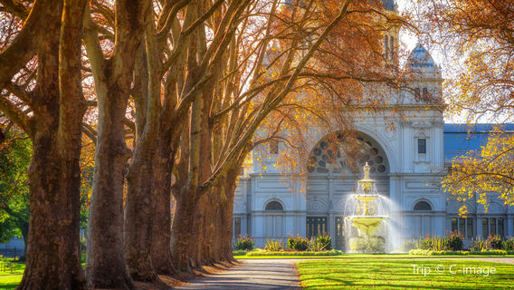 Карлтонские сады