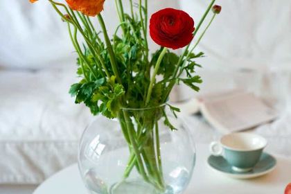 XIA RI MA LI YI SHI CAN TING