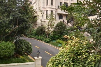 McDonald's (shengshichating)