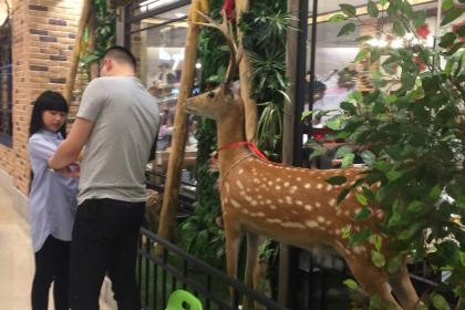 东北风(仓山万达店)