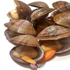 SEAFOOD MASTER User Photo
