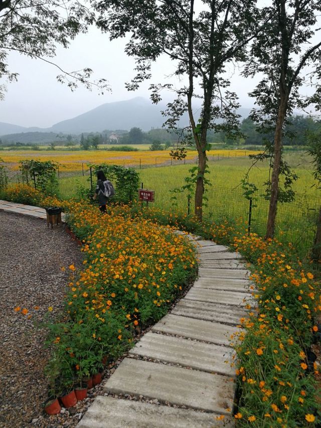 Taiji Wuse Valley