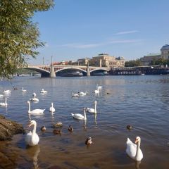 KAMPA PARK User Photo