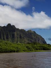 Kahaluu Bay