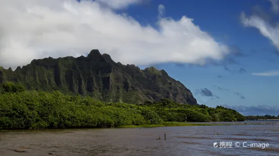 Kahaluu Bay