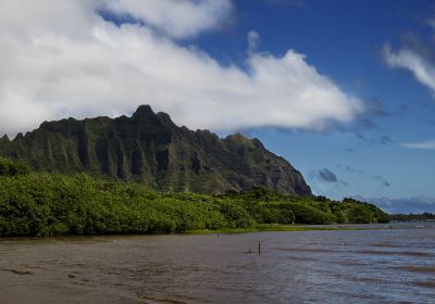 Kahaluu Bay