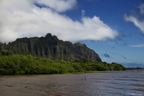 Kahaluu Bay