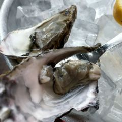 Bistro 1 여행 사진