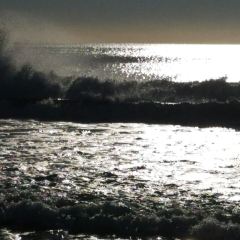 Hurricane's Grill - Bondi Beach User Photo