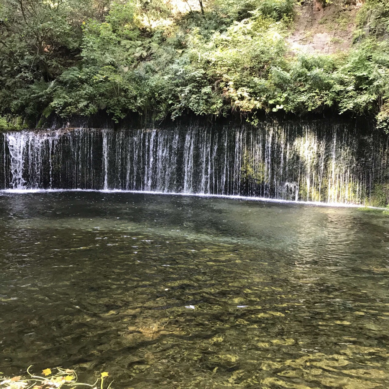 Karuizawa Shiraito Falls Attraction Reviews Karuizawa Shiraito Falls Tickets Karuizawa Shiraito Falls Discounts Karuizawa Shiraito Falls Transportation Address Opening Hours Attractions Hotels And Food Near Karuizawa Shiraito Falls Trip Com