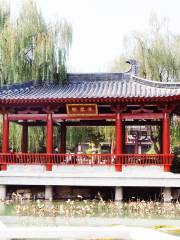 Furong Garden