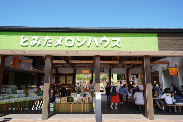 Tomita Melon House