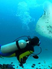 Ocean Spirit Scuba Diving Mauritius