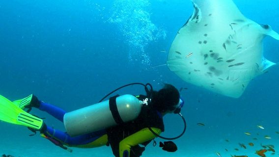 Ocean Spirit Scuba Diving Mauritius