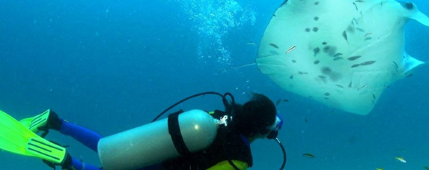 Ocean Spirit Scuba Diving Mauritius