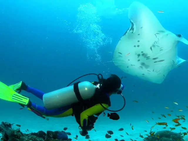 Scuba Diving in Mauritius