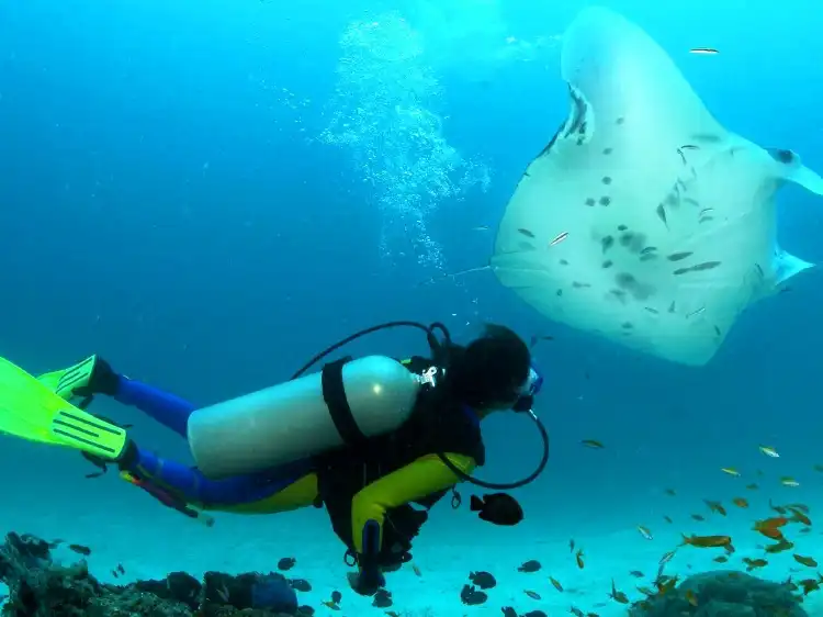 Hotels near Ocean Spirit Scuba Diving Mauritius