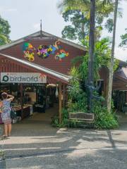 Birdworld Kuranda