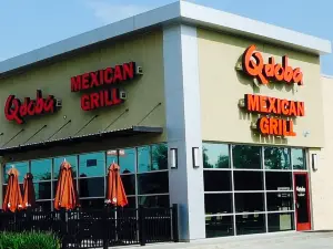 Qdoba Mexican Grill