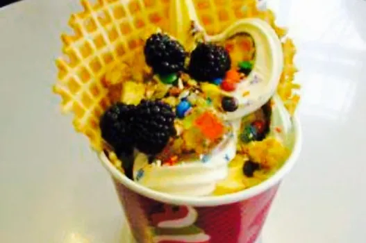 Menchie's Frozen Yogurt