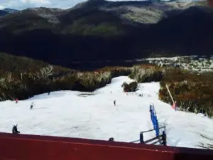 Avalanche Cafe