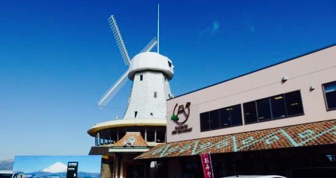 Fujimatsu Tembo Restaurant