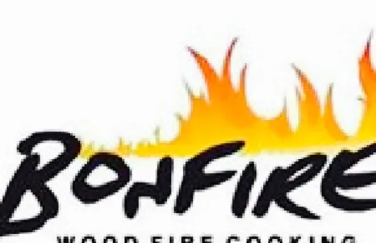 Bonfire Wood Fire Cooking