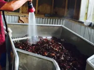 Peck's Seafood Restaurant