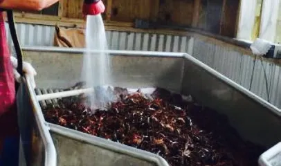 Peck's Seafood Restaurant