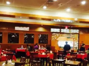Asia City Restaurant