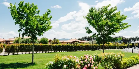 Ristorante Pizzeria - La Maremma