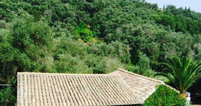 Taverna yialos corfu